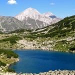 pirin (Small)